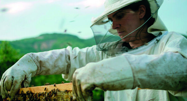 &#039;Last film show&#039;, Espiga de Oro a la mejor película de la Seminci