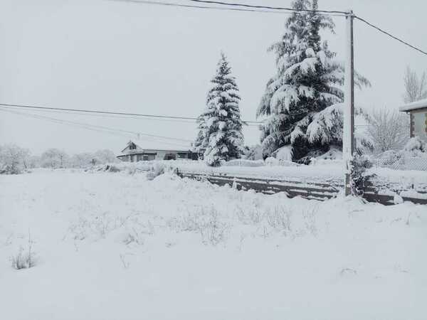 Directo: cortado el tráfico ferroviario entre Miranda de Ebro y Bilbao