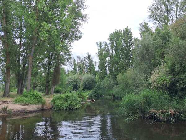 La campaña electoral entra en su recta final en Salamanca