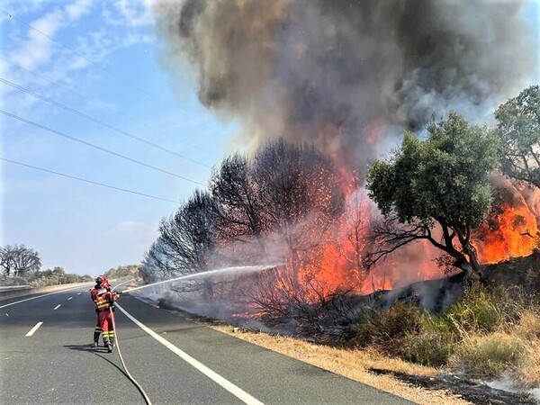 Incendios en Extremadura: Evolución positiva en Jerte y muy favorable en Casas de Miravete