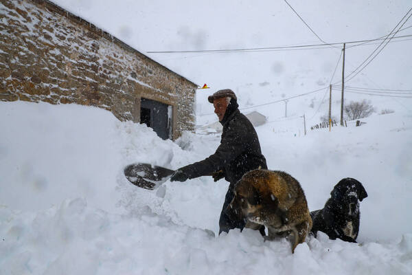 En directo: temporal de nieve en Asturias