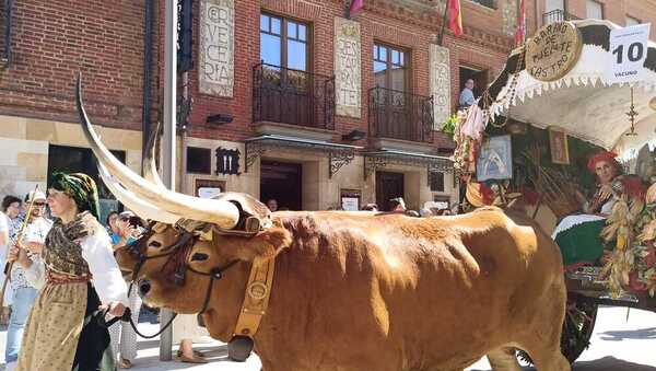 Así vivimos en directo los desfiles de carros y pendones y el acto de las Cantaderas