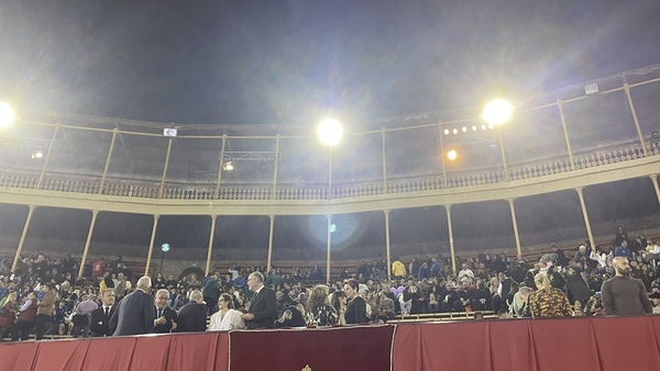 Hogueras en Alicante 2023: quiénes son las belleas del foc | Elección de la bellea del foc d&#039;Alacant