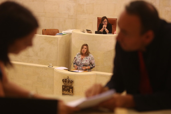 El PP dibuja un Gobierno «sin una idea de Cantabria, de bandazos que ha creado problemas donde no los había»