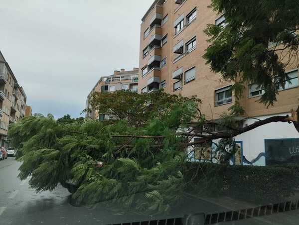 Crónica de una jornada de temporal en Extremadura