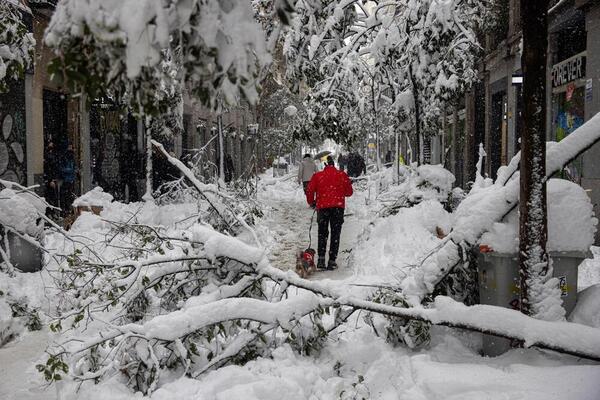 Consejos para sobrevivir a la nevada del siglo