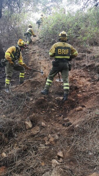 Incendios en Extremadura: Evolución positiva en Jerte y muy favorable en Casas de Miravete