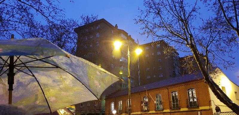 Directo: medusas, peces y pulpos pasean por las calles de Valladolid