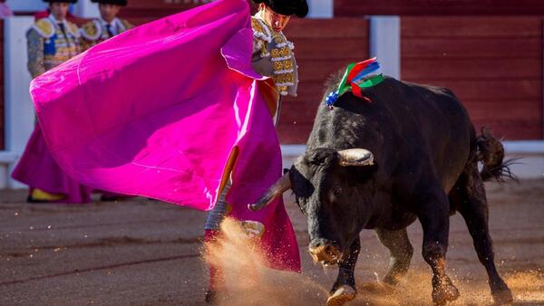 El Juli se despide en El Bibio por la puerta grande