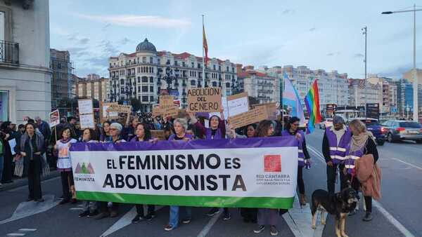 Pancartas con mensajes que reivindican que el &amp;quot;feminismo es abolicionista&amp;quot;.