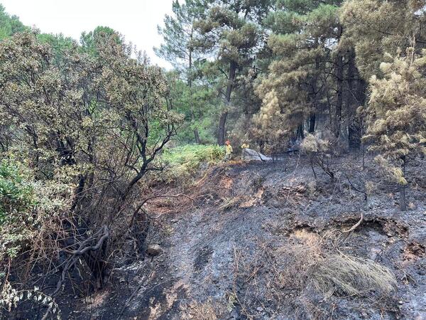 Incendios en Extremadura: Evolución positiva en Jerte y muy favorable en Casas de Miravete