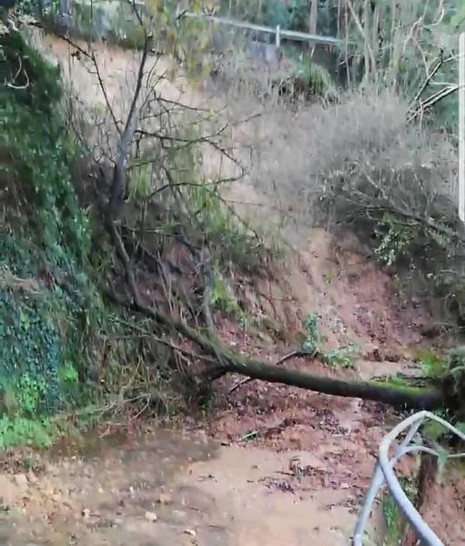 Los efectos del temporal en Asturias