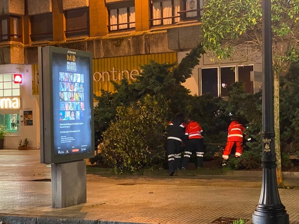 Gijón | Un camión de bomberos procedió a retirar un árbol que dificultaba la circulación en la carretera de la avenida La Costa