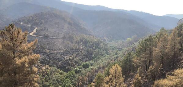 Incendios en Extremadura: Evolución positiva en Jerte y muy favorable en Casas de Miravete