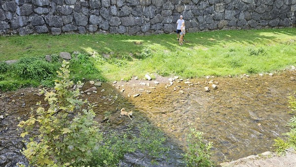 Así te hemos contado el episodio de calor extremos que ha vivido Gipuzkoa