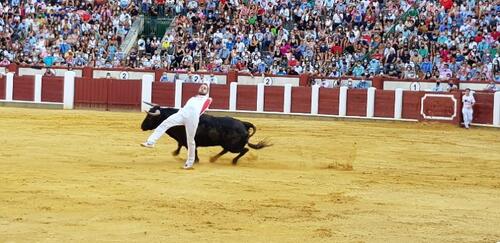 Javier Manso &#039;Balotelli&#039; gana la Liga del Corte Puro en Valladolid
