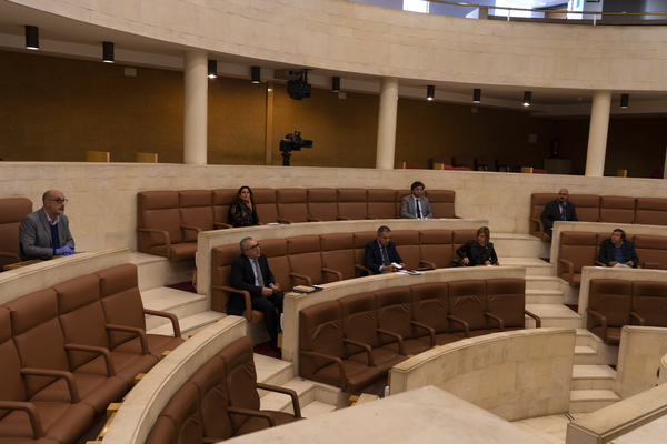La comisión especial no permanente para el estudio y seguimiento de la situación derivada de la crisis del coronavirus se ha constituido hoy en el Parlamento de Cantabria y ha aprobado el plan de trabajo inicial.