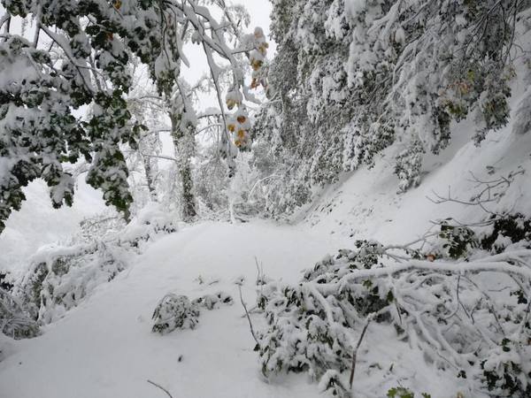 La última hora del temporal en Asturias