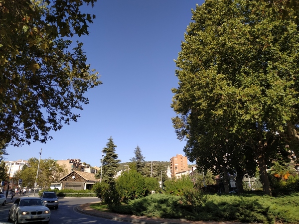 Procesión de la Virgen de las Angustias en directo | Sigue minuto a minuto la procesión