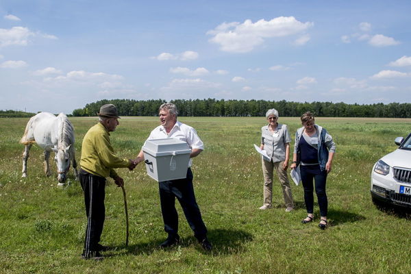 En Hungría muchas personas votan a través de urnas móviles. En la imagen, Antal Matyus (i) saluda a las autoridades electorales Judit Adamne Csordas (d), Bela Deak (2i) y Belane Varga (2d) durante las elecciones europeas en su granja en Szentkiraly.