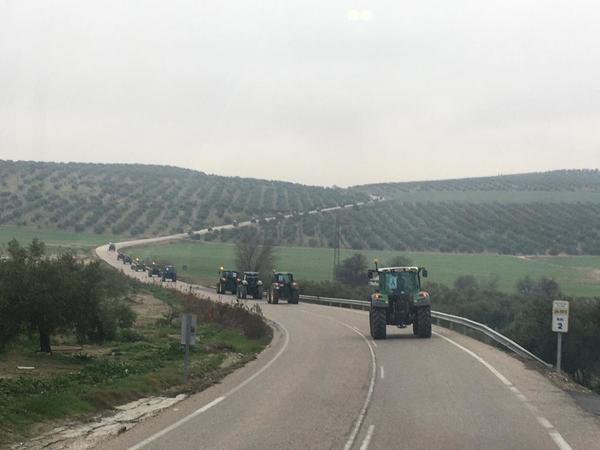 Hilera de tractores desde Villargordo hacia el corte en la A-4 en Andújar. ASAJA