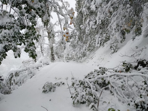 La última hora del temporal en Asturias