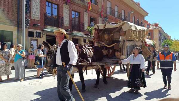 Así vivimos en directo los desfiles de carros y pendones y el acto de las Cantaderas