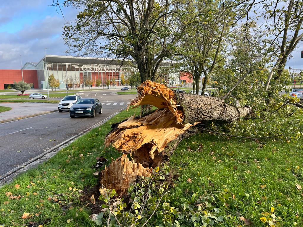 El Campo Grande de Valladolid permanecerá cerrado ante la amenaza del viento