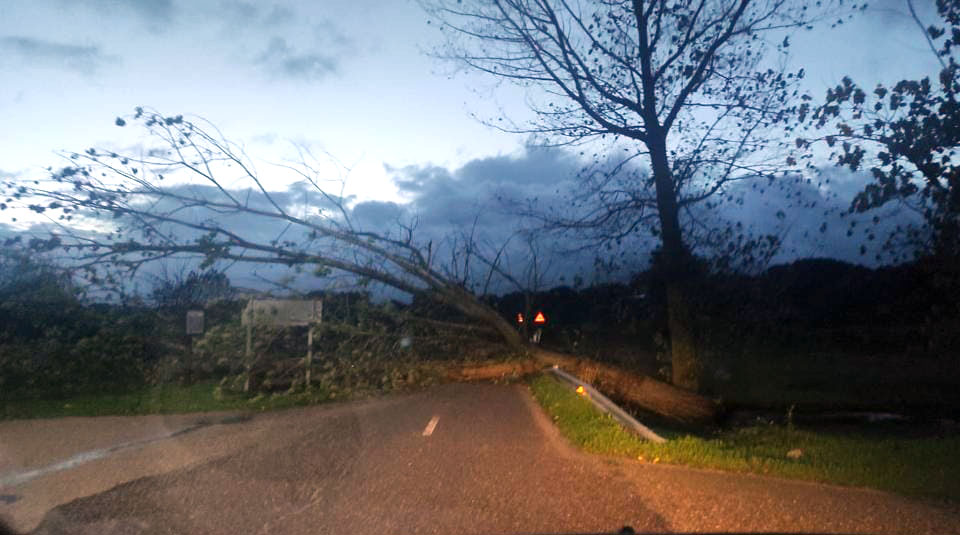 El Campo Grande de Valladolid permanecerá cerrado ante la amenaza del viento