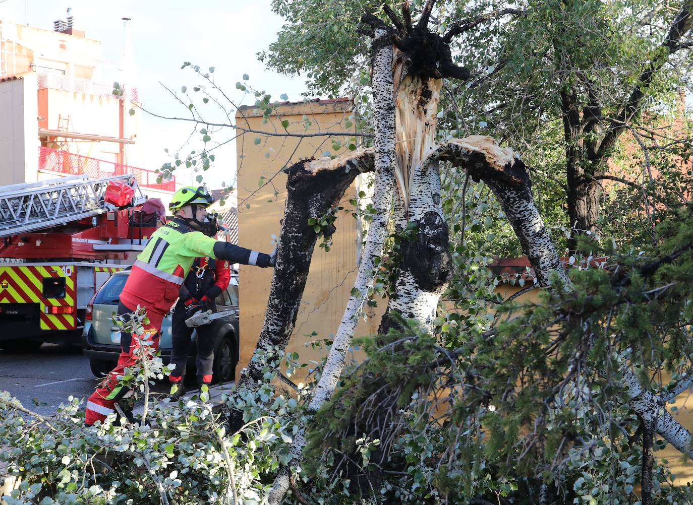 El Campo Grande de Valladolid permanecerá cerrado ante la amenaza del viento