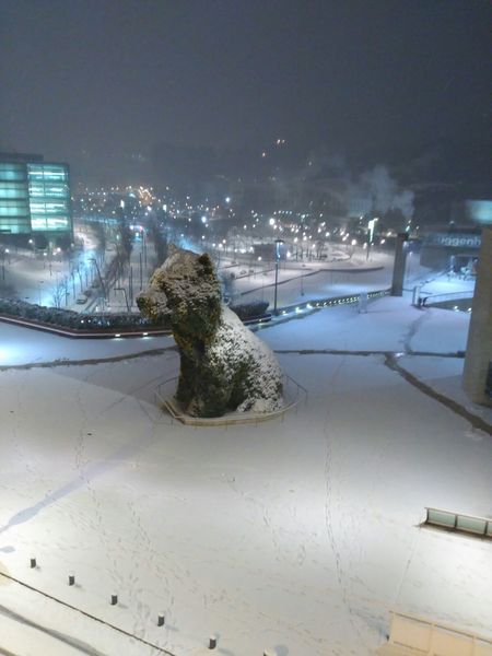 La mayor nevada en 33 años sorprende a Bizkaia