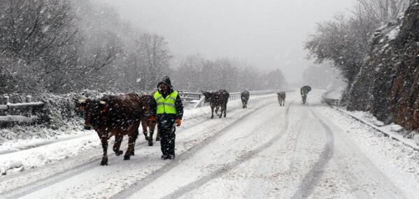 En directo: temporal de nieve en Asturias