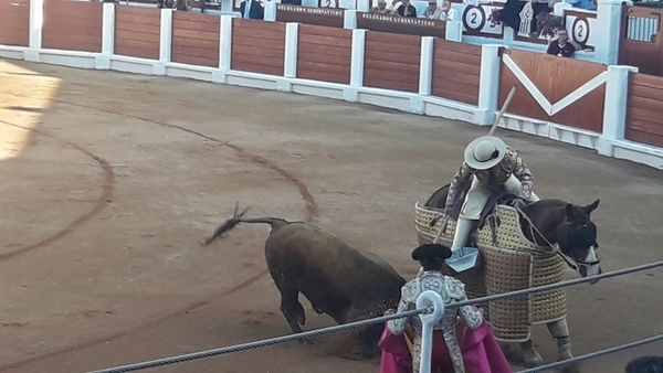 Gijón enloquece con Morante y pierde el norte con El Juli