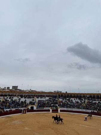 Así hemos narrado el festejo matinal en la Feria de Olivenza