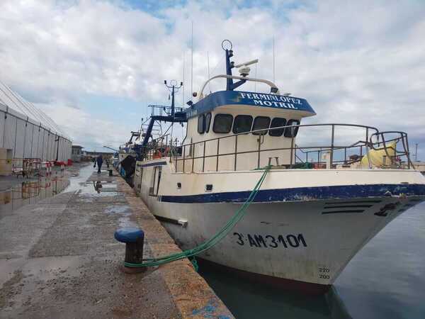 FOTO: P. García-Trevijano