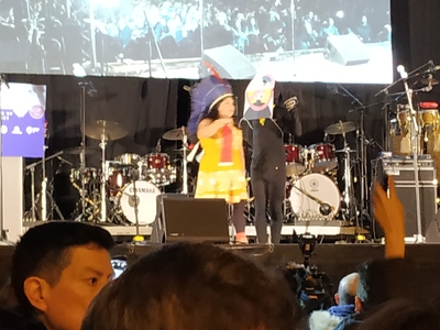 Un grito desesperado contra la «emergencia climática» atruena en las calles de Madrid