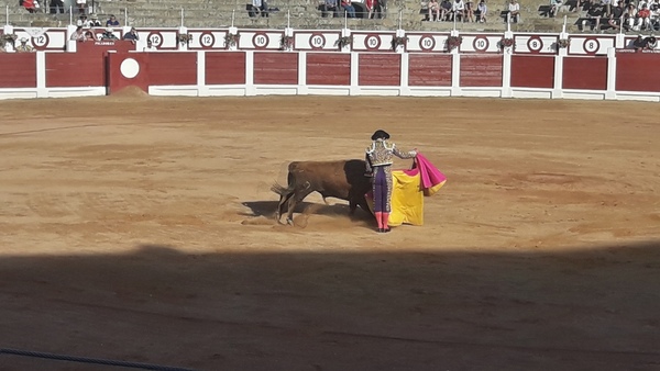 Gijón enloquece con Morante y pierde el norte con El Juli