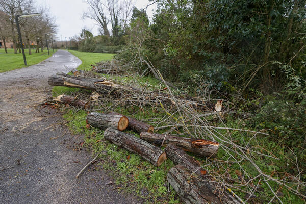 En directo: última hora del temporal en Asturias