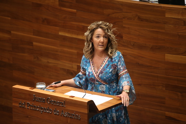 Teresa Mallada interviene en el Parlamento regional