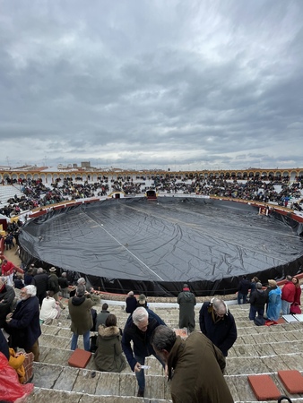 La lluvia obliga a suspender el último festejo y la Feria de Olivenza se despide con agua