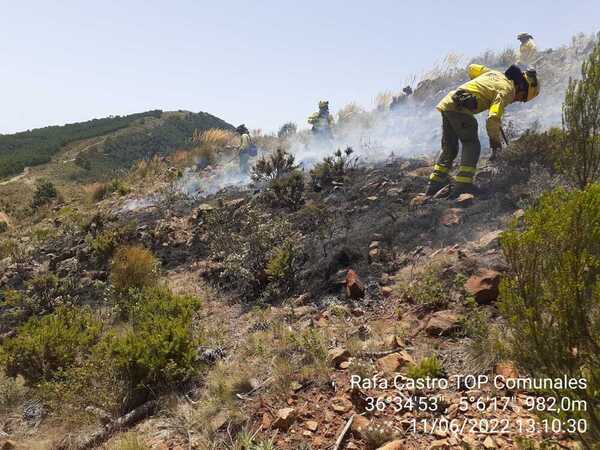 Incendio Costa del Sol: Directo | La consejera Crespo advierte: «Aún queda trabajo»