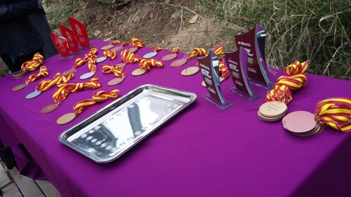 Adiós para volver con mayor nivel