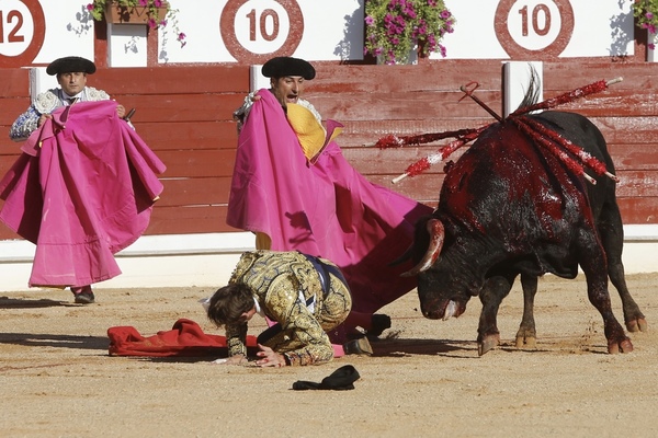 Cogida a Padilla. Foto: Damián Arienza.
