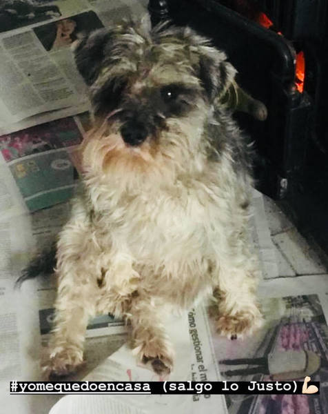 Cantabria se queda en casa