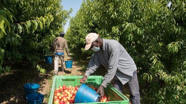 Hacienda obliga a los extranjeros atrapados en España más de 183 días por el confinamiento a tributar aquí