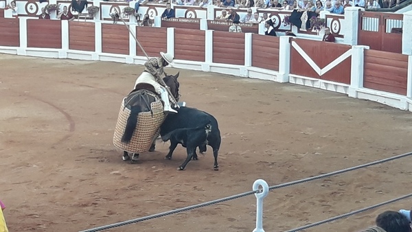 Gijón enloquece con Morante y pierde el norte con El Juli