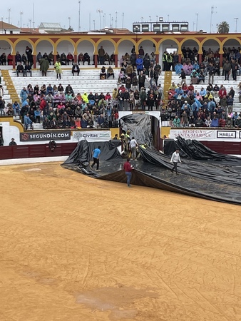 Así hemos narrado el festejo matinal en la Feria de Olivenza