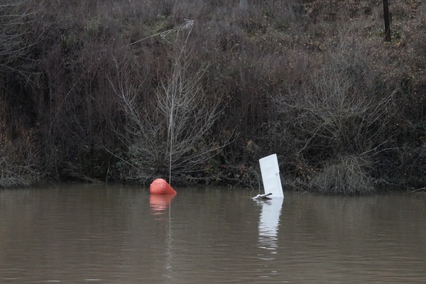 Una parte de la avioneta asoma junto a uno de los globos que se utilizaron para elevarla durante la tarde del lunes. Foto: Carlos Espeso