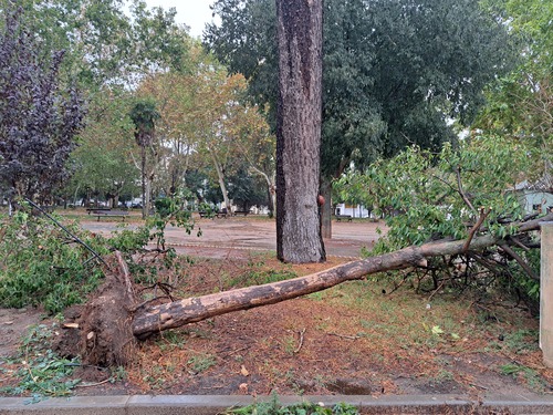 Crónica de una jornada de temporal en Extremadura