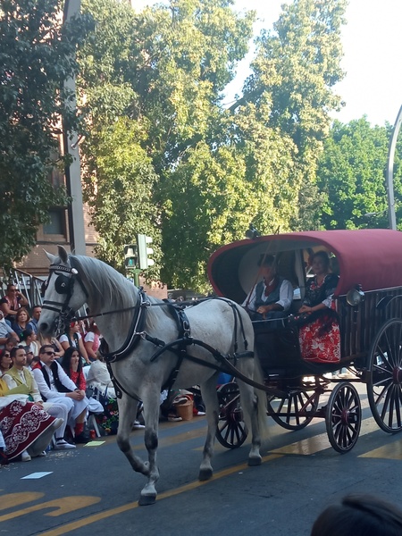 Así hemos narrado el Bando de la Huerta